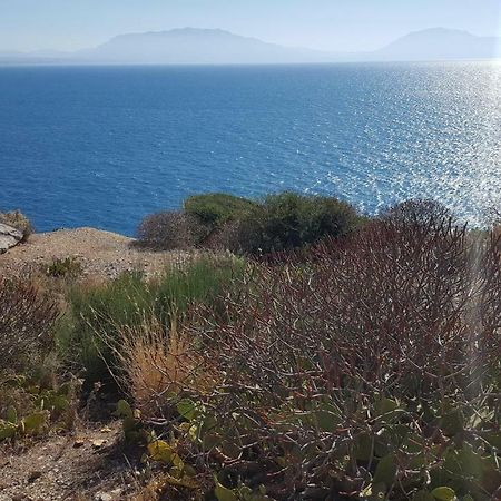 הוילה טראסיני Mediterranean מראה חיצוני תמונה