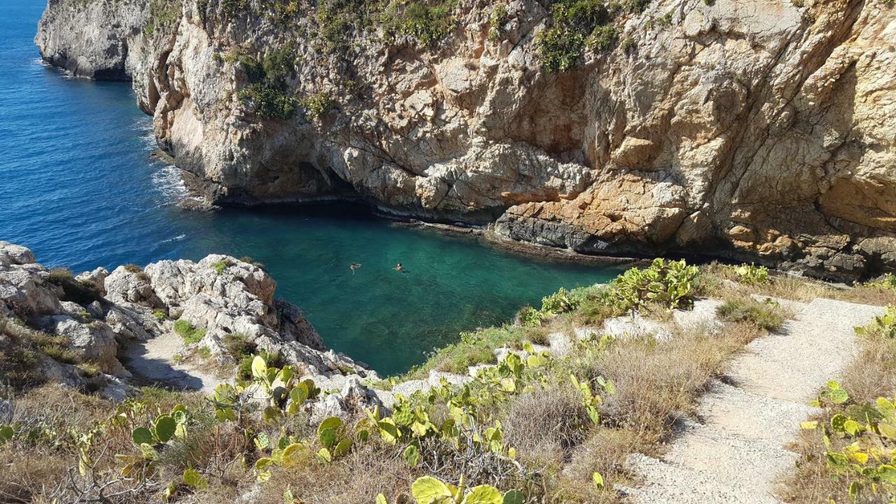 הוילה טראסיני Mediterranean מראה חיצוני תמונה